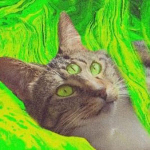 Meet your Posher, Solo.